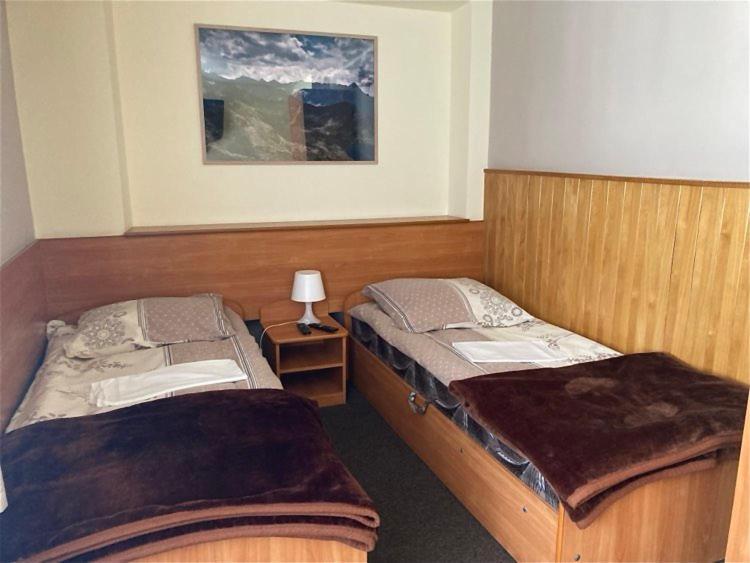Pokoje Goscinne Wilga Zakopane Exteriör bild